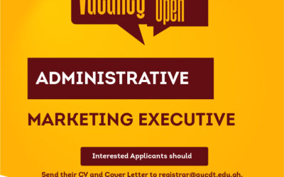 Marketing Executive